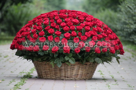 Корзина из 301 красной розы "Создана совершенной"